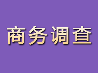 万宁商务调查